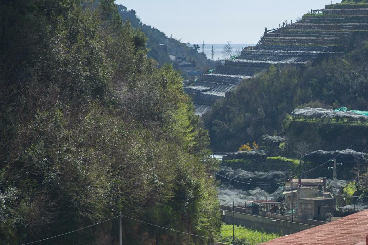 Casa Rosanna Villa Maiori Bagian luar foto